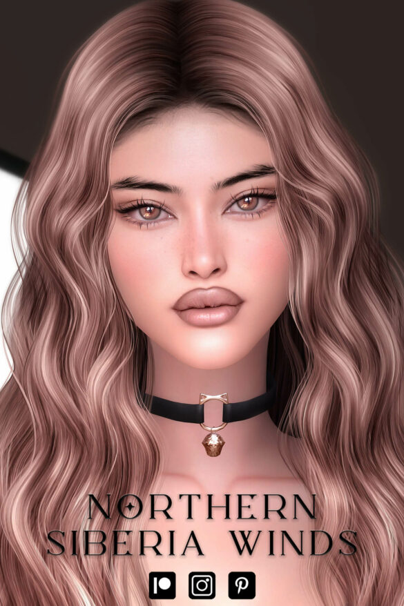 make up and presets set