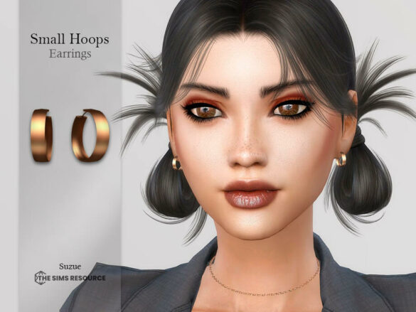 Small Hoops Earrings