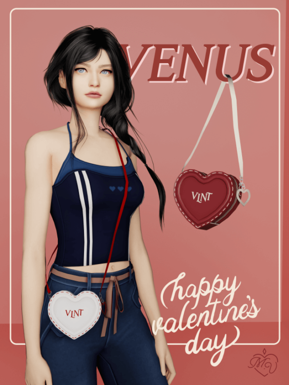 Valentine's Day Bag